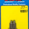 ARP S/S Bolt Kit -12pt (5pk) 10-32 x .750 702-0750