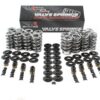 BRIAN TOOLEY RACING Platinum LS Dual Springs .660in Lift SK001/S/0545/BB