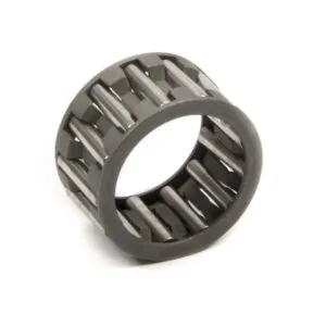 BERT TRANSMISSIONS Radial Needle Roller 20