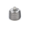 BRINN TRANSMISSION Magnetic Plug 71059