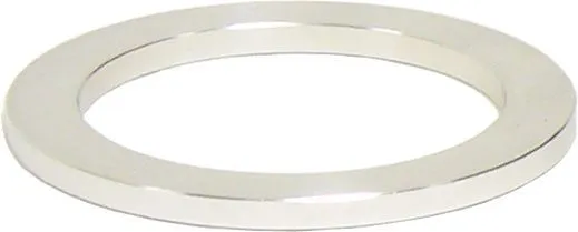 BRINN TRANSMISSION Forward Clutch Ring 73007
