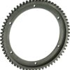 BRINN TRANSMISSION Ring Gear 79081