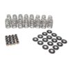 BRIAN TOOLEY RACING Beehive Valve Spring Kit .625 BTR-SK018