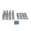 BRIAN TOOLEY RACING GEN 3 Hemi VVT Lift Spring .650in 09-Up SK017