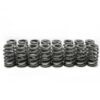 BRIAN TOOLEY RACING LS6 Beehive Springs .560 Lift (16) SP011-16