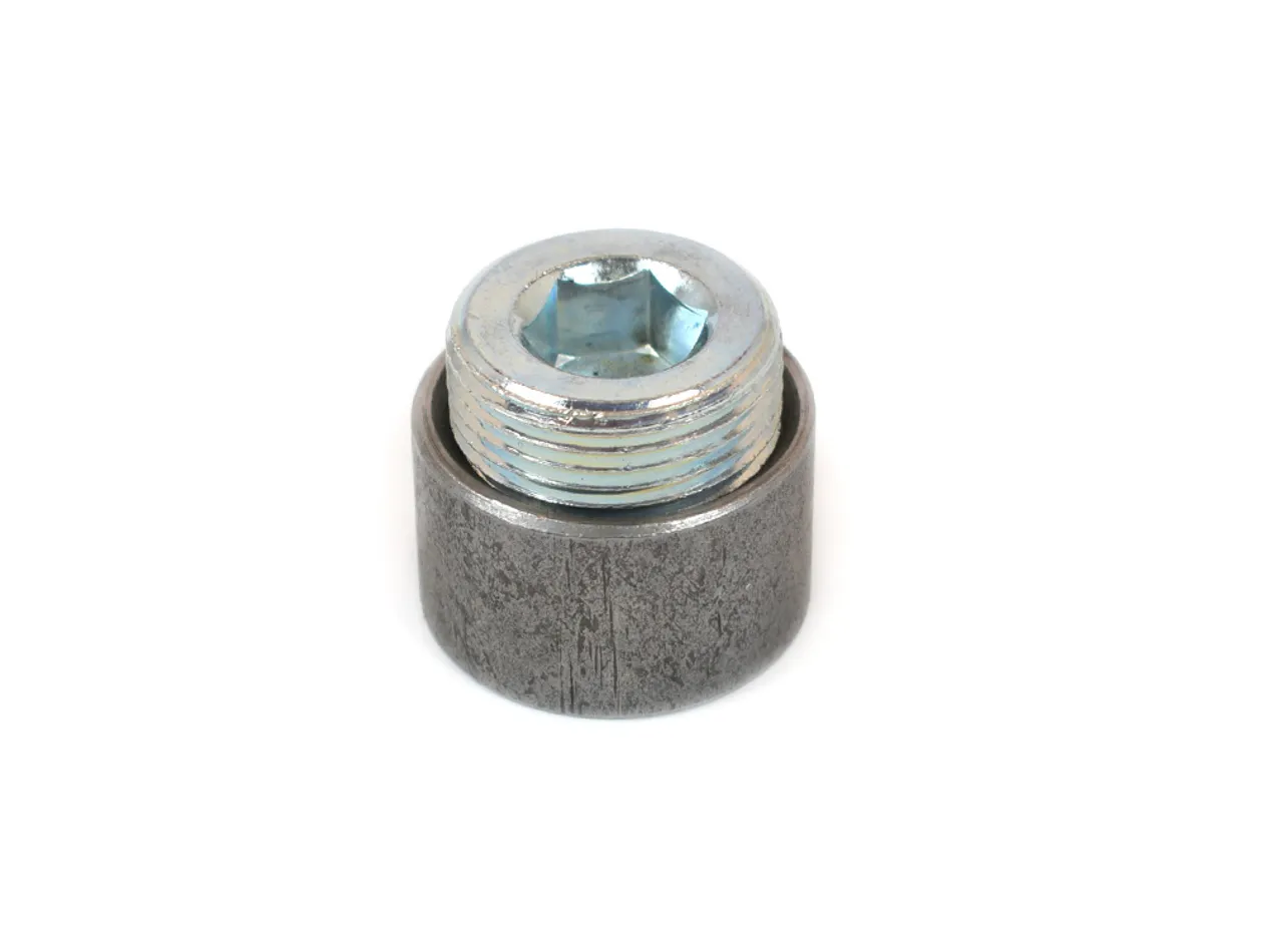 CANTON Inspection Plug 20-888