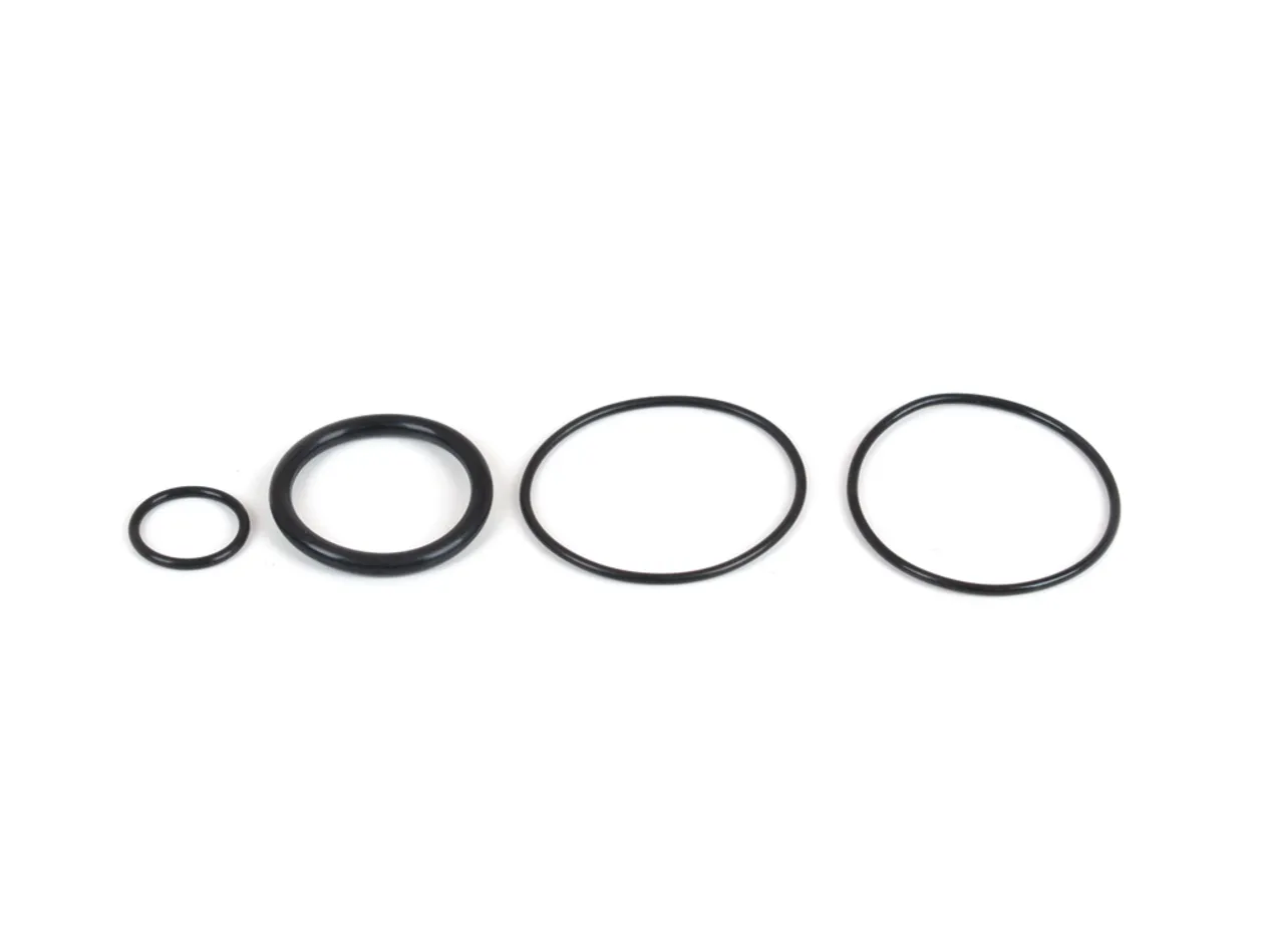 CANTON O-Rings 26-800