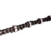COMP CAMS AMC V8 Xtreme Energy Hyd. Cam XE256H10 10-214-5