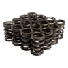 COMP CAMS Valve Spring Set 26911-16