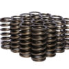 COMP CAMS .970 Dia. Inner Valve Springs- .700 ID. 973-16
