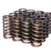 COMP CAMS .937 Dia. Inner Valve Springs- .697 ID. 974-16