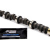 CROWER Hydraulic Cam - Pontiac V8 - Hot Street Beast 60916