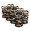 CROWER Valve Springs - Dual 68324-8