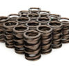 CROWER Valve Springs - Dual 1.500 68340-16