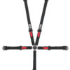 CROW SAFETY GEAR Kam Lock 2in Belts Black Pull-Up Bolt In Or Wrap 11174AB