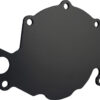 CVR PERFORMANCE Back Plate Water Pump - SBF Black 65022BK
