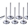 DEL WEST 11/32 Intake Valves - 2.300 IV-BBC-2300T-8