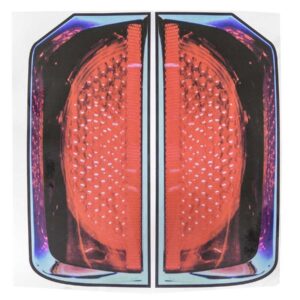 DOMINATOR RACE PRODUCTS Tail Graphics Dominator SS 309