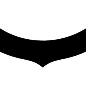 DOMINATOR RACE PRODUCTS Extension Predator Hood Carbon Fiber 5.5in Tall 500-EX-CF