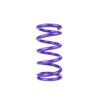 DRACO RACING Spring  Conventional  Fr ont  9.500in Length  5.0 DRA-UMP9.5.5.00.450