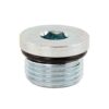 DART Pipe Plug 1/2 Allen - O-Ring Style 32892500