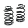 DETROIT SPEED ENGINEERING Coil-Over Springs - Pair GM Applications 031133PDS