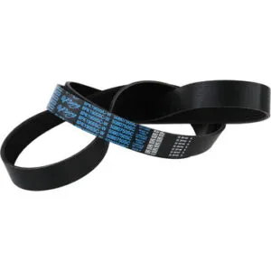 DAYCO PRODUCTS LLC Supercharger Belt Cobra Mustang  03-04 5080750SC