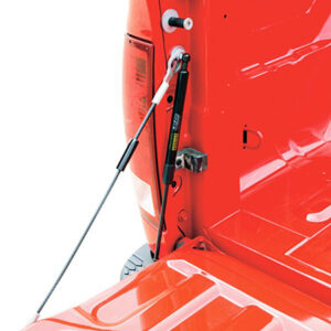 DEE ZEE 19-   Dodge Ram Tailgate Assist DZ 43302