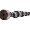 EDELBROCK BBC Hydraulic Roller Cam 2261