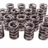 EDELBROCK 1.460in Valve Springs - BBF 5767