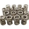 EDELBROCK 1.550in Valve Springs - BBM 5792
