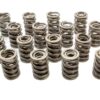 EDELBROCK Victor Series Valve Spring Set 5823