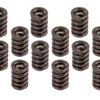 EDELBROCK 1.460 Valve Spring Set 16 5845