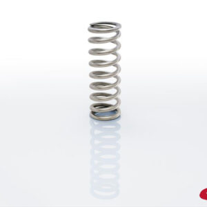 EIBACH Coilover Spring Silver 2.50in ID 1000.250.0250S