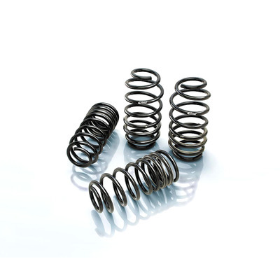 EIBACH Pro-Kit 06-08 Dodge Charger 2876.14