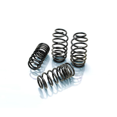 EIBACH Pro Kit 79-04 Ford Mustang V8 & Cobra 3510.14