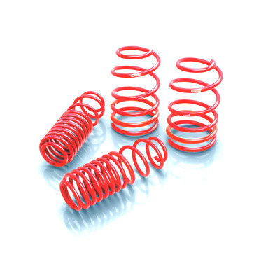 EIBACH Sportline Kit 82-92 GM Camaro V8 4.0138