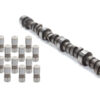 ELGIN SBC Cam & Lifter Kit - 427/427-110 260 Duration CL-1787PK