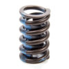 ELGIN SBC 1.25in Claimer Valve Spring RV-1943X