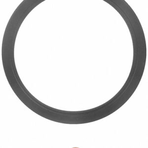 FEL-PRO Gen V 502 Rear Main Seal 1991-92 FULL CIRCLE 2920