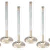 FERREA 1.880 BBF CP Exh Valves 11/32 5.700 OAL F2222P-8