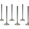 FERREA SBC C/P 1.600in Exhaust Valves F2301P-8