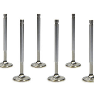 FERREA SBC C/P 1.600 Exhaust Valves 5/16  5.160 OAL F2302P-8