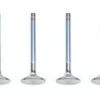 FERREA Buick V6 C/6 1.500in Exhaust Valves F6237-6