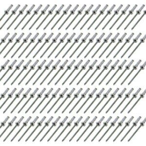 FIVESTAR Small Head Rivet Silver 100pc 1/8in 815-100S