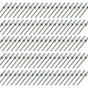 FIVESTAR Small Head Rivet Silver 100pc 1/8in 815-100S
