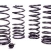 FORD Coil Spring Kit 79-04 Mustang M-5300-G
