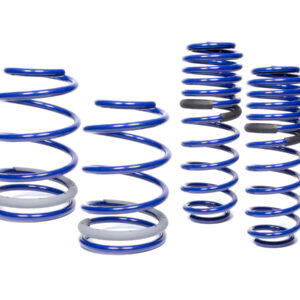 FORD 05-14 Mustang GT Coil Spring Kit M-5300-KA