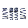 FORD Track Lowering Spring Kit 05-15 Mustang GT M-5300-PA