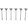 FORD Intake Valves Lwt. 8pk 5.2L Coyote M-6507-M52